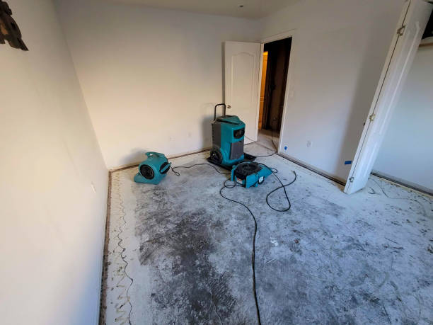Best Basement water damage restoration  in Lake Hamilton, AR