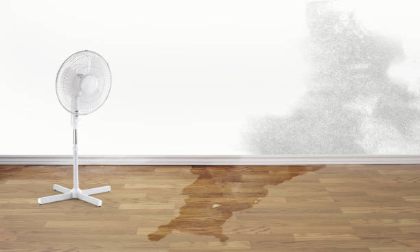 Fire Damage Restoration in Lake Hamilton, AR