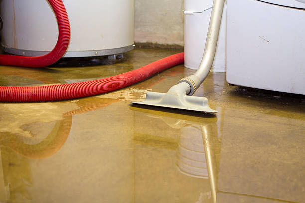Best Fire Damage Restoration  in Lake Hamilton, AR