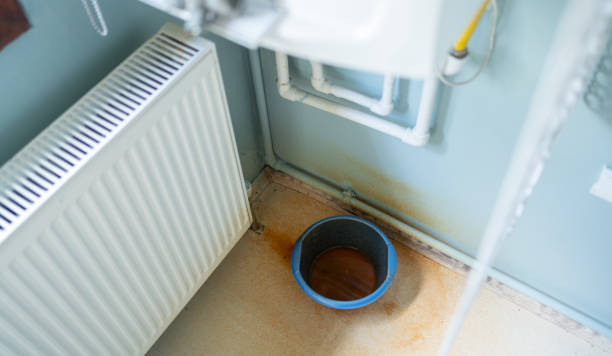Best Fire Damage Restoration  in Lake Hamilton, AR