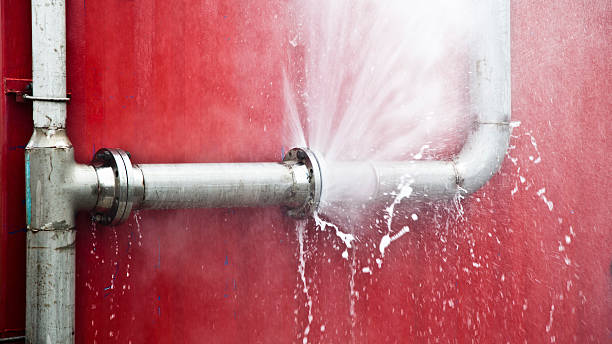Best Sewage cleanup and water damage restoration  in Lake Hamilton, AR